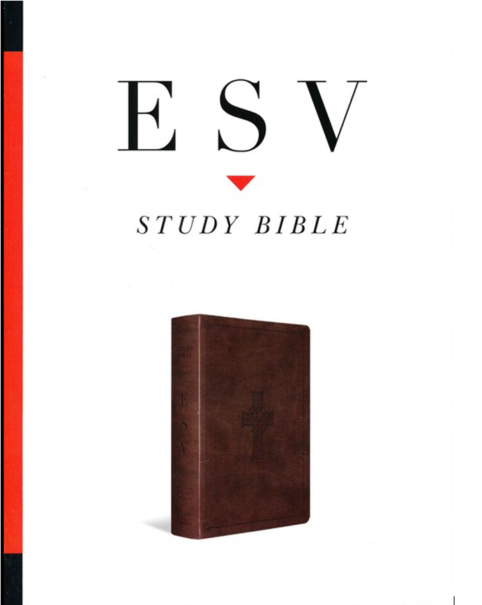 Cover of ESV Study Bible